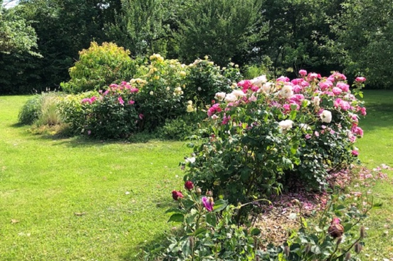 Les senteurs du jardin