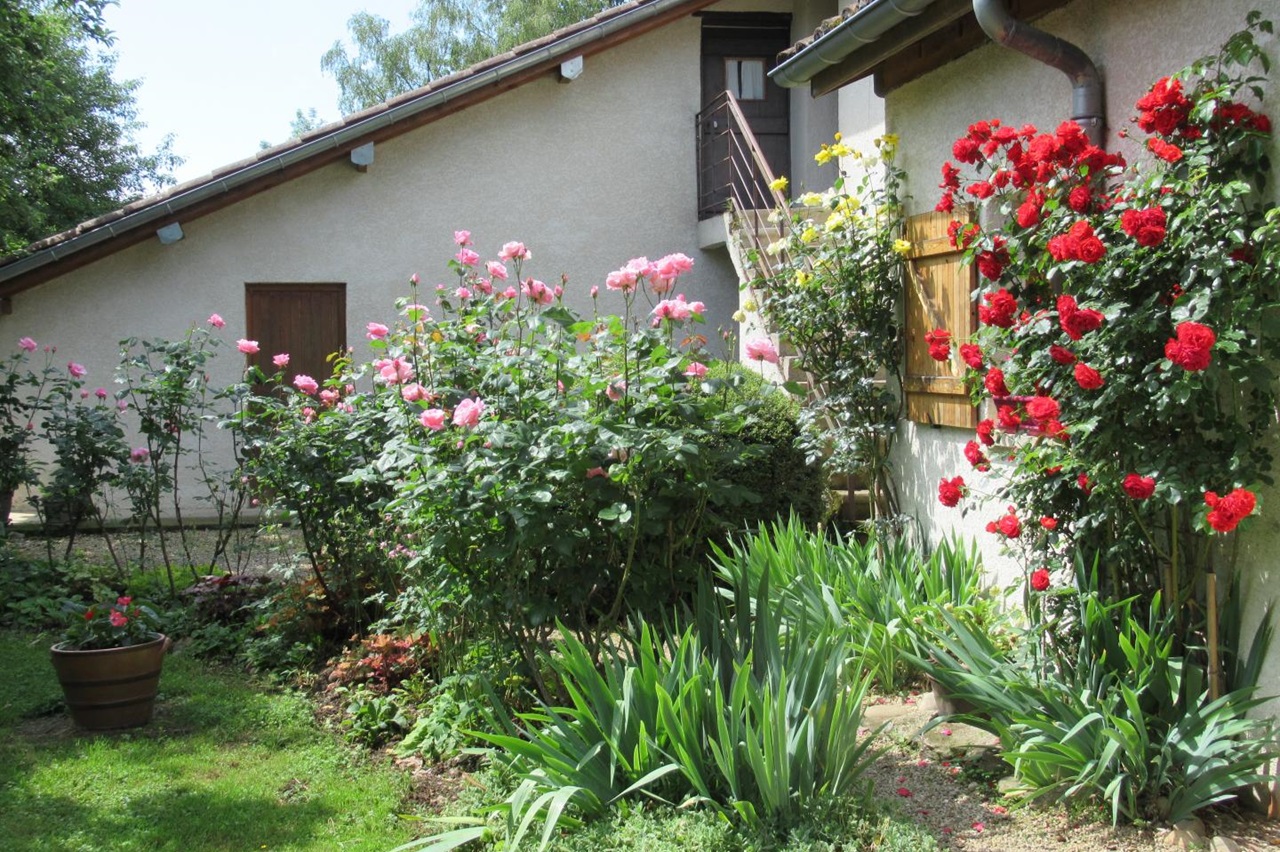 Un coin du jardin