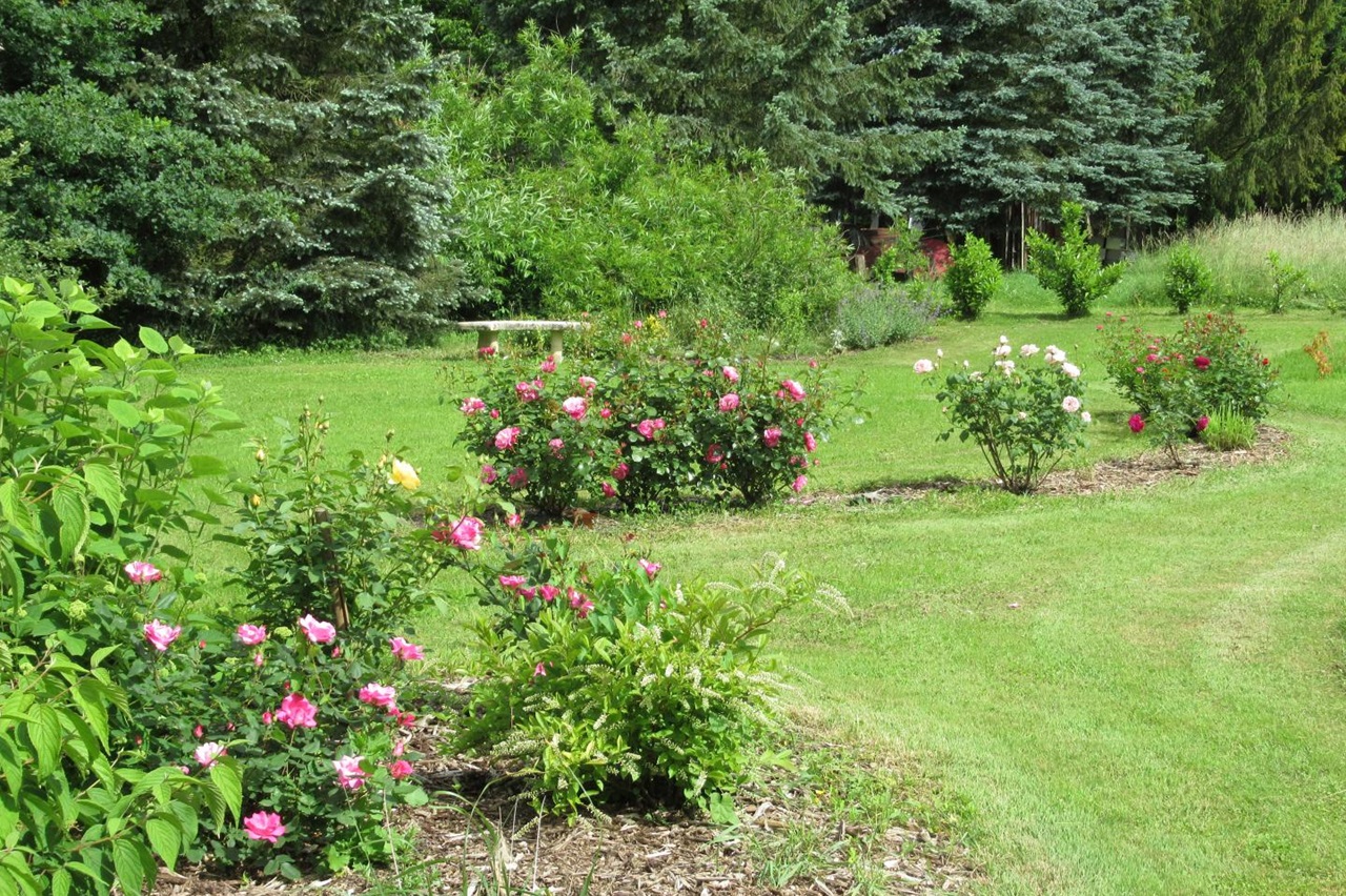 Le jardin, un coin de verdure