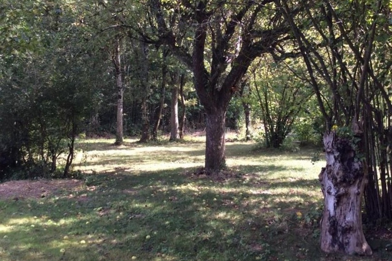 Le jardin, un coin d'ombre